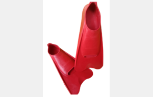 palmes en silicone